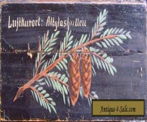 Item  Vintage Wooden Box depicting Altglashutten Black Forest Germany for Sale