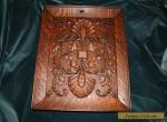 Exceptional 19th Century Carved Tiger Oak Cabinet Panel for Sale