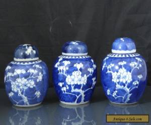 Item Three Antique Chinese 19th C Kangxi Style Prunus Pattern Tea Caddys / Jars for Sale