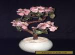 Chinese Carved Stone Cherry Blossom Bonsai Tree in Celadon Porcelain  Pot for Sale