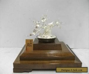 Item The tree of the plum of virgin silver. BONSAI TREE. A work of  MITUNORI.  for Sale