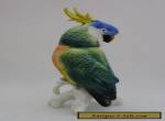 Cockatoo Bird Parrot Decoration Porcelain Figurine Ens German  for Sale