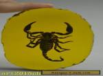 china handwork collectible amber inlay scorpion lucky statue for Sale