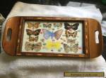 REAL BUTTERFLY TRAY GLASS TOP WOOD INLAY ART RARE SPECIMENS ART DECO STUNNING for Sale