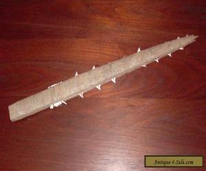 Item Antique Shark Tooth Club Sword for Sale