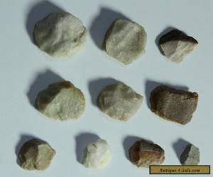 Item  Aboriginal stone scappers Quantity 10  Microliths  GROUP 2  for Sale