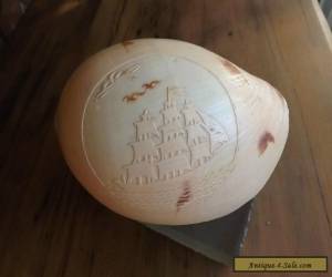 Item Scrimshaw Sea Shell Tall Masted Sailing Ship Folk Art Carved Relief  for Sale