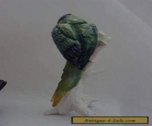 Item Macaw with Cherrys Parrot Bird Decoration Porcelain Figurine Ens German  for Sale