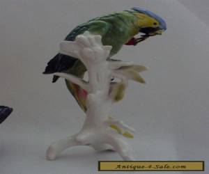 Item Macaw with Cherrys Parrot Bird Decoration Porcelain Figurine Ens German  for Sale