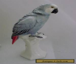 Item Macaw gray Parrot Bird Decoration Porcelain Figurine Ens German  for Sale