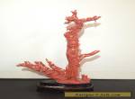 Carved Coral Chinese Figurine  for Sale