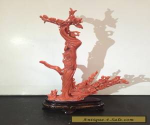 Item Carved Coral Chinese Figurine  for Sale