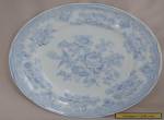 Burgess & Leigh Antique ASIATIC PHEASANTS Dinner Plate 24.2cm for Sale