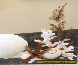 Item Vintage Mid-Century Acrylic Lucite Aquarium Sea Horse Star Fish Coral Book End for Sale