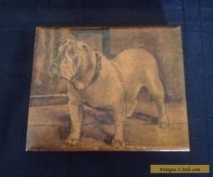 Item Rare antique early Pen Work bulldog box for Sale