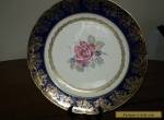 ANTIQUE "PARAGON" PLATE (Numbered & Markings) Very Good Condition for Sale