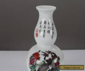 Item  Exquisite chinese retro painting lum blossom porcelain Vase 1 for Sale