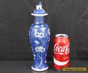 Good Antique Chinese 19th C Prunus Pattern Vase - Signed Kangxi for Sale