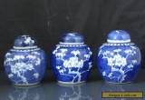 Three Antique Chinese 19th C Kangxi Style Prunus Pattern Tea Caddys / Jars for Sale