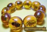 Rare Asian jewelry Amber Colored real Bee Bracelet for Sale