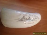 Whale Tooth Scrimshaw