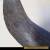 ABORIGINAL CARVED WOODEN WEST AUSTRALIAN PAY BACK BOOMERANG  for Sale