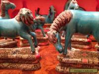 Rare Set of Eight Chinese Antique Blue Glazed Horses with Original Box. 