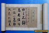 Very Long Rare Chinese Scroll HandWriting Calligraphy Marked WangXianZhi WJ113 for Sale