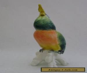 Item Cockatoo Bird Parrot Decoration Porcelain Figurine Ens German  for Sale