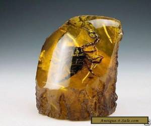 Free shipping Vintage Oriental Handwork Natural Amber Scorpion Statue for Sale