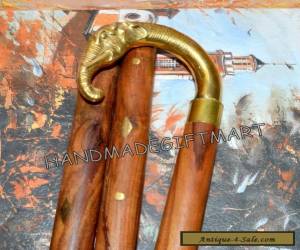 Item Brass Elephant Head Antique Style Gentlemen's Cane Designer Wood Walking Stick for Sale