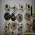 Lot of 20 Leviton Edison Style Ceramic Light Sockets  for Sale