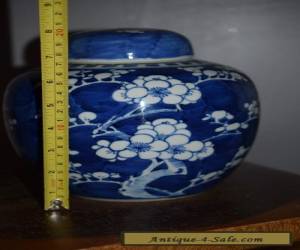 Item ANTIQUE LARGE CHINESE PRUNUS & HAWTHORN VASE/ JAR-19thC for Sale