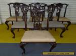 Antique Vintage Set 6 Heavily Carved Shell Chippendale Style Dining Chairs  for Sale