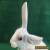 ANTIQUE GERMAN HANDPAINTED  Rabbit Clock C-1920,S for Sale