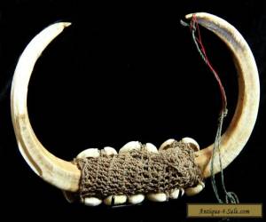 Item UPPER SEPIK GREEN RIVER Pig tusk Body ornament 50s for Sale