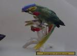 Macaw with Cherrys Parrot Bird Decoration Porcelain Figurine Ens German  for Sale