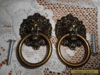 Brass Lion Head Door Pulls Dark Creepy Face Knob Set of 2