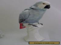 Macaw gray Parrot Bird Decoration Porcelain Figurine Ens German 