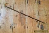 Antique Victorian Childs Wooden Walking Stick/cane for Sale