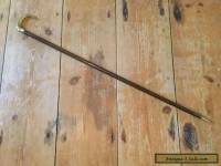Antique Victorian Childs Wooden Walking Stick/cane