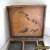 ANTIQUE / VINTAGE WOODEN COLLECTORS/ SPECIMEN / STORAGE CASE / BOX for Sale