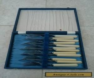 Silver Plate Boxed Faux Bone Cutlery Set for Sale