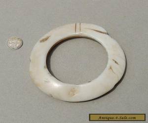 a large shell currency ring from new guinea #59 for Sale