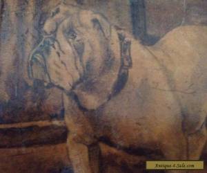 Item Rare antique early Pen Work bulldog box for Sale