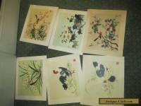 Set of 6 Vintage Chinese Watercolours in folder 