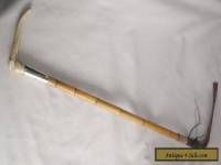 Antique Hunting/Riding Crop with Sterling Silver Collar 1911 Antler Handle