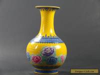 Exquisite Chinese handwork painting flower Porcelain Vase QIANLONG mark C1054