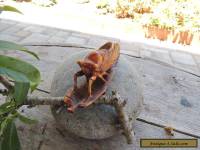 Vintage Cicada for Decoration
