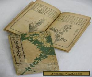Taisho Antique! 2 Books of "Ikeno-bo" Floral Art V550 for Sale
